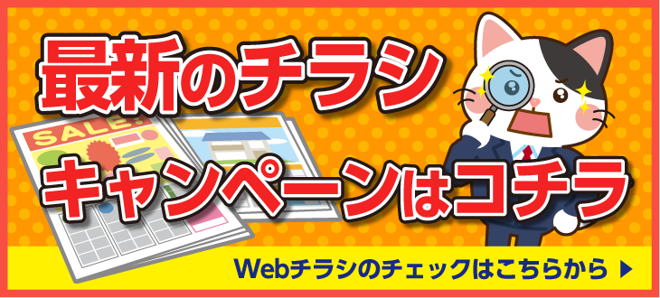 現在のチラシ・キャンペーン商品